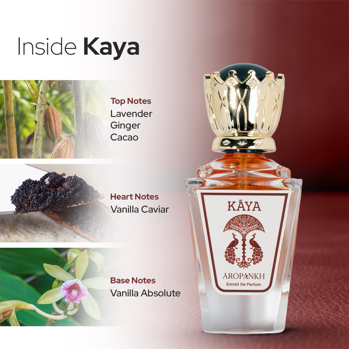 KAYA 50ML