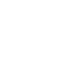 Exclusive <br> Collections