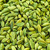 Cardamom