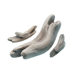 Driftwood