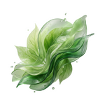 Green Notes