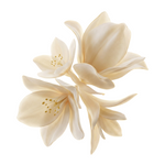 White <br> Florals
