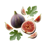 Fig