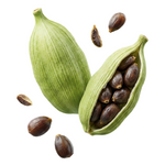 Cardamom