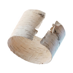Birch
