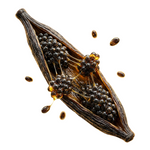 Vanilla Caviar